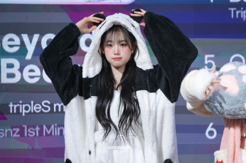 트리플에스 지연
