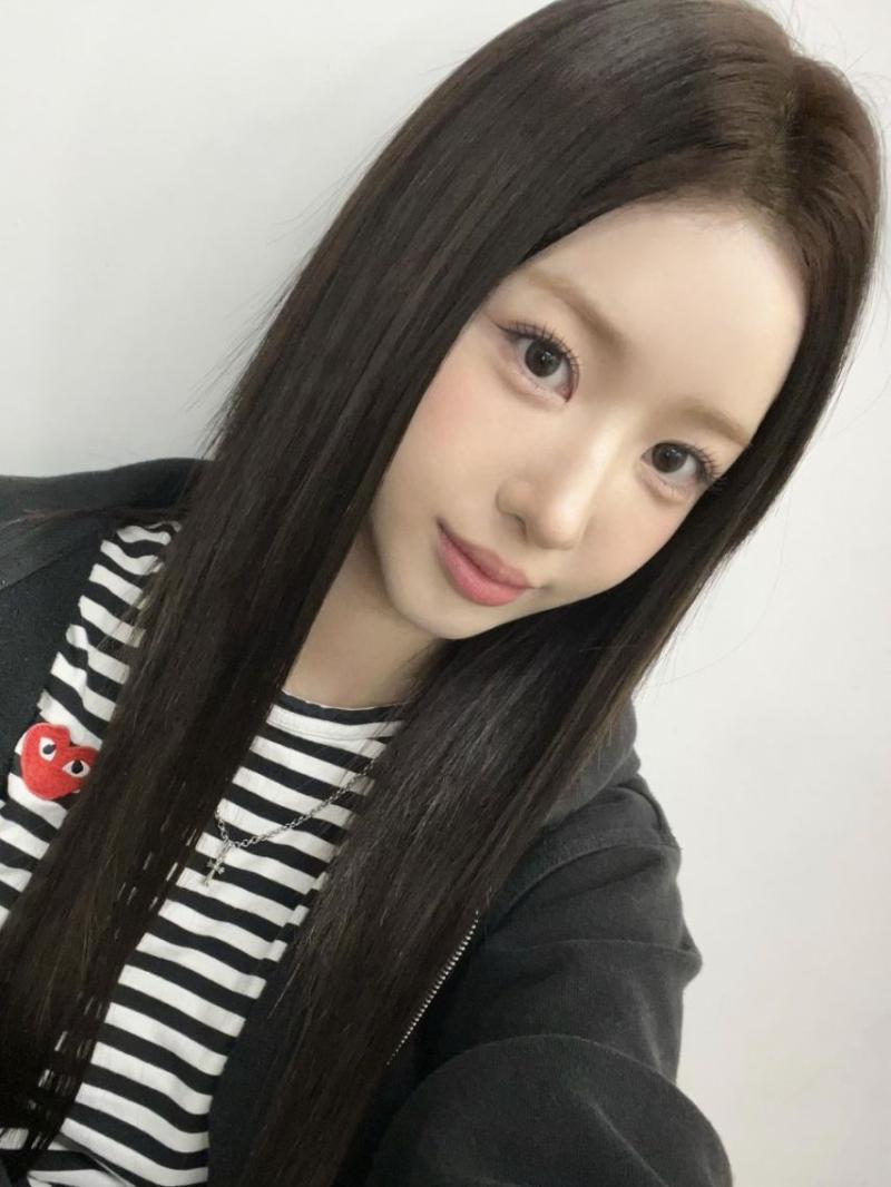 배드빌런 빈