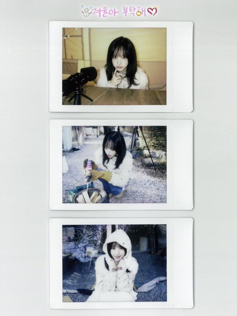 아이브 리즈