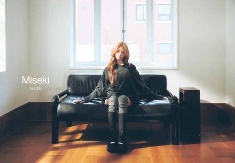 아이브 레이 Miseki