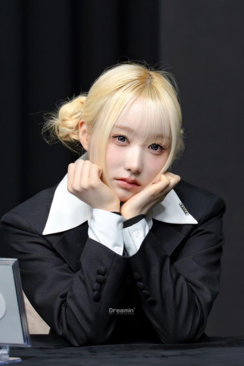 세이마이네임 메이