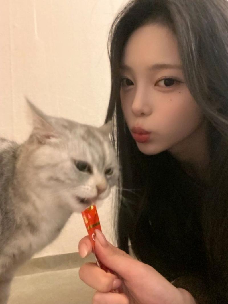 하츠투하츠 이안