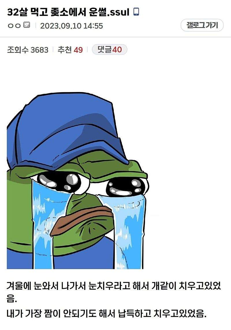 32살먹고 ㅈ소에서 울었다