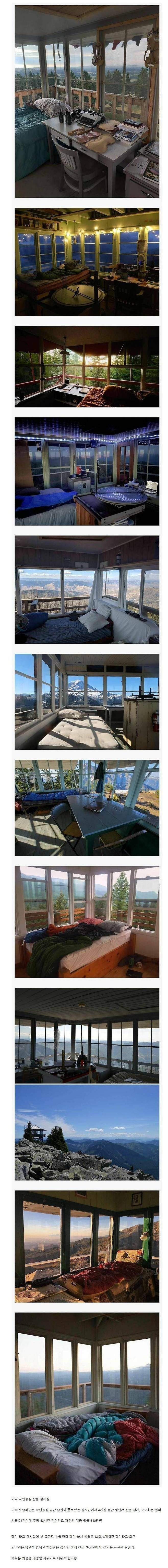 방에 박혀서 월급 540만 원 받는 직업