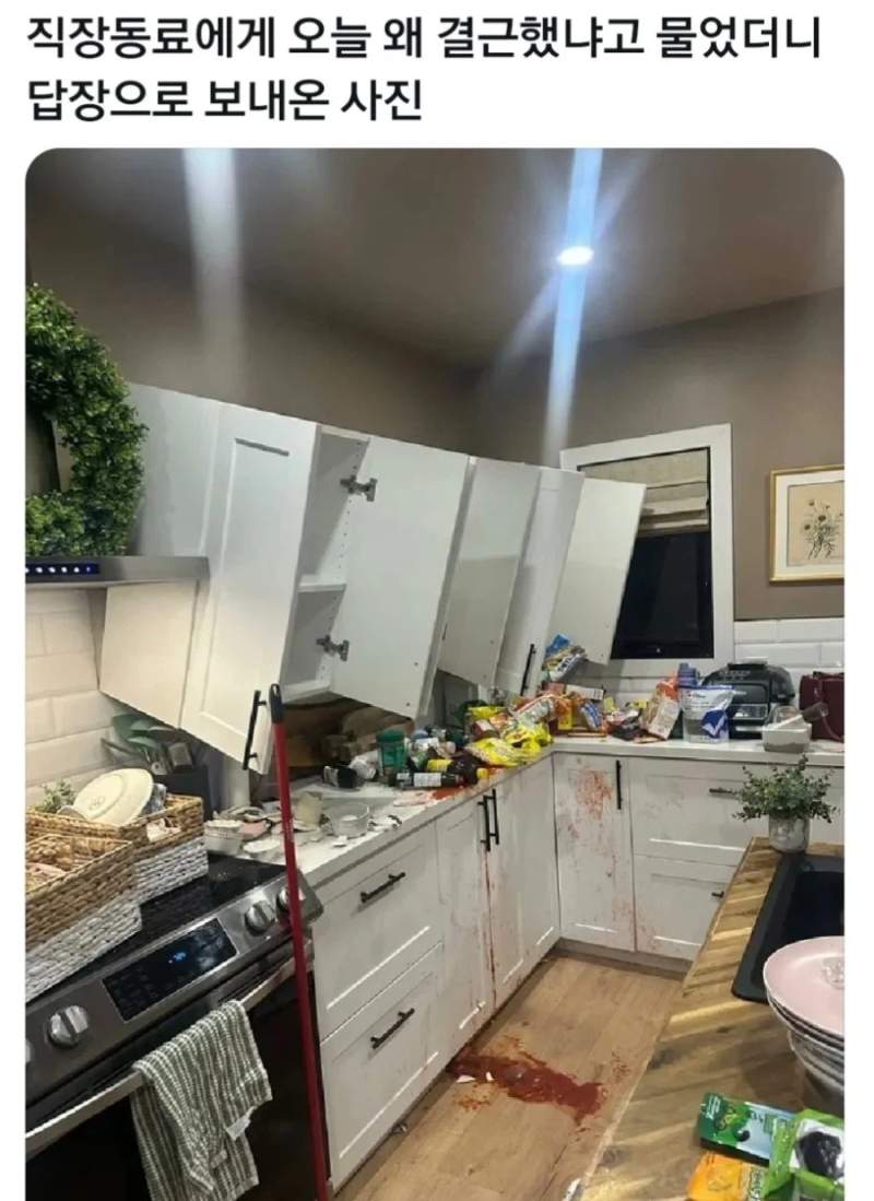 직장동료에게 오늘 왜 결근했냐고 물었더니 답장으로 보내온 사진