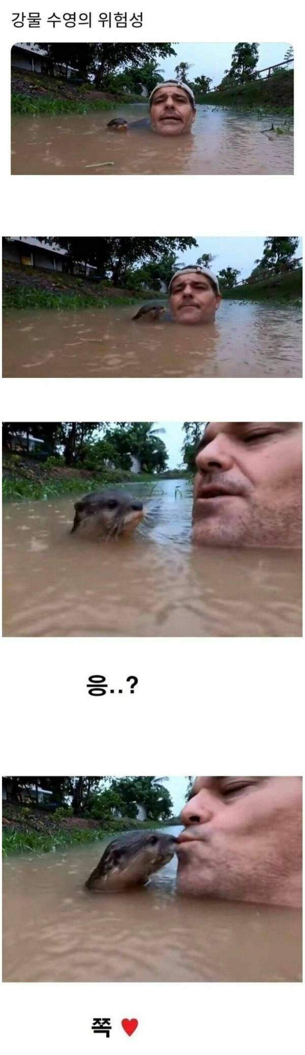 치명적인 강물 수영의 위험성