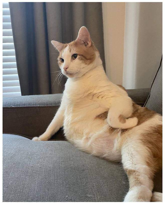 오빠 나 할 말 있어