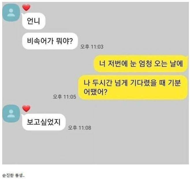 비속어가 궁금했던 동생