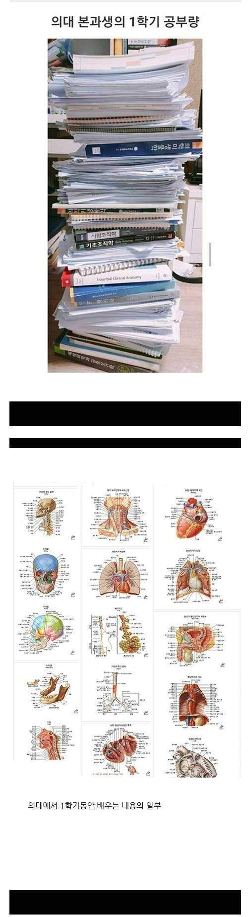 의대생들의 공부량