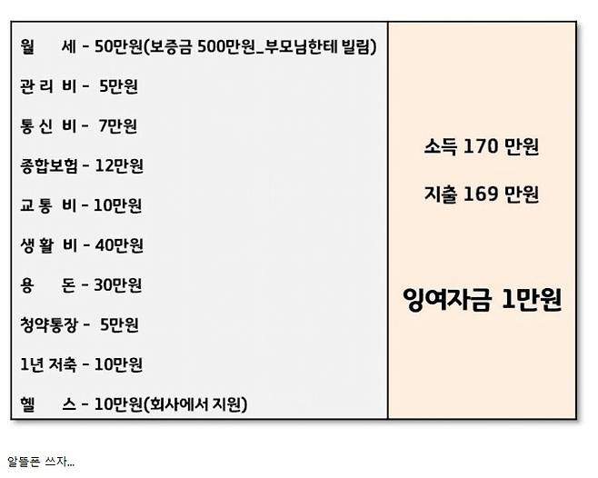 월급 170 받는 직장인 가계부