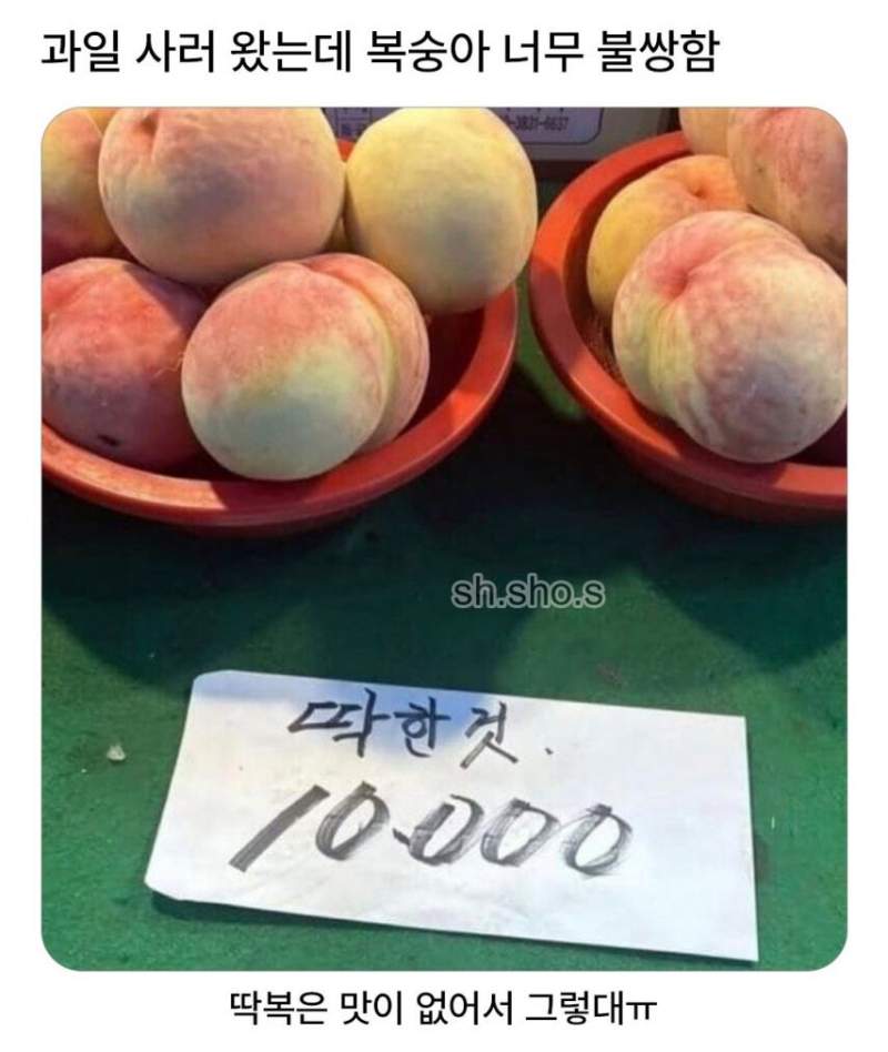 딱한 복숭아.jpg