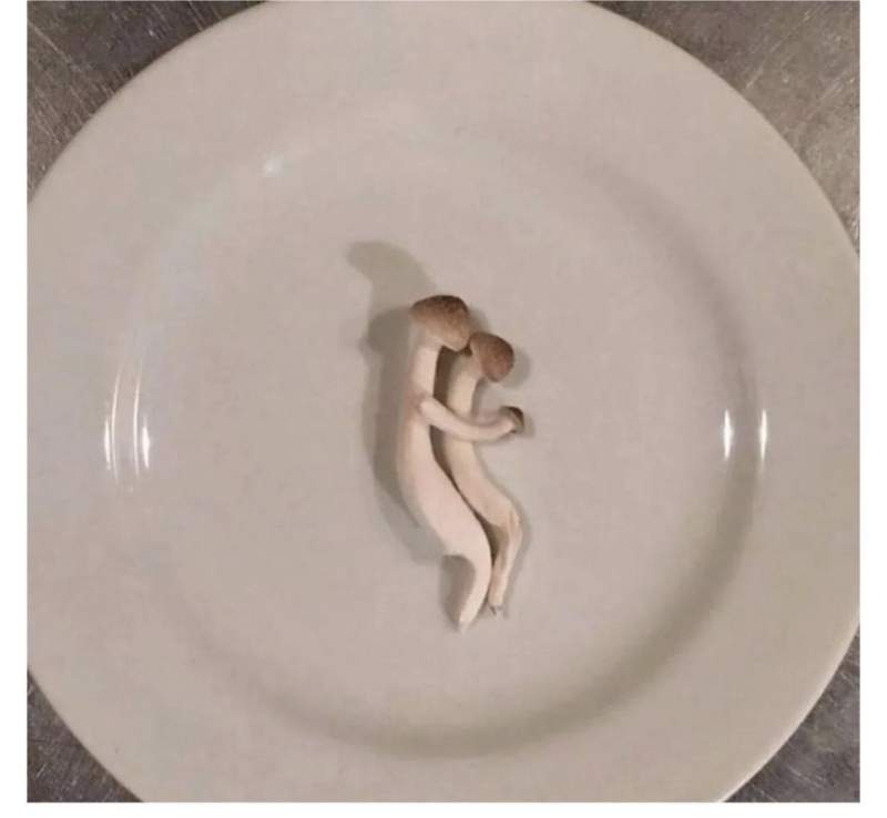 솔로가 보면 이유없이 화나는 사진