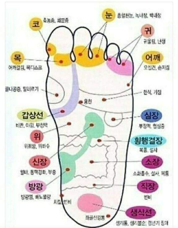 죄수를 생각한 형벌 제안합니다!!