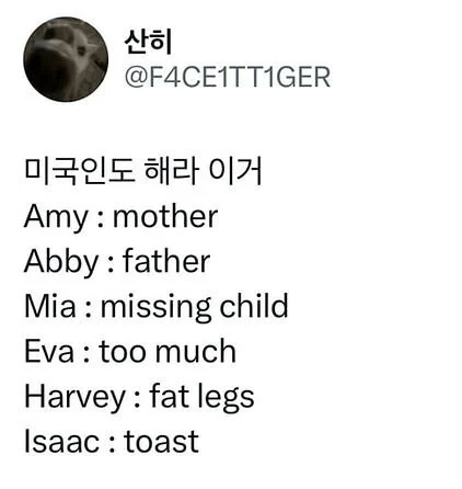 여권 만들 때 쓰면 안 되는 영어 이름