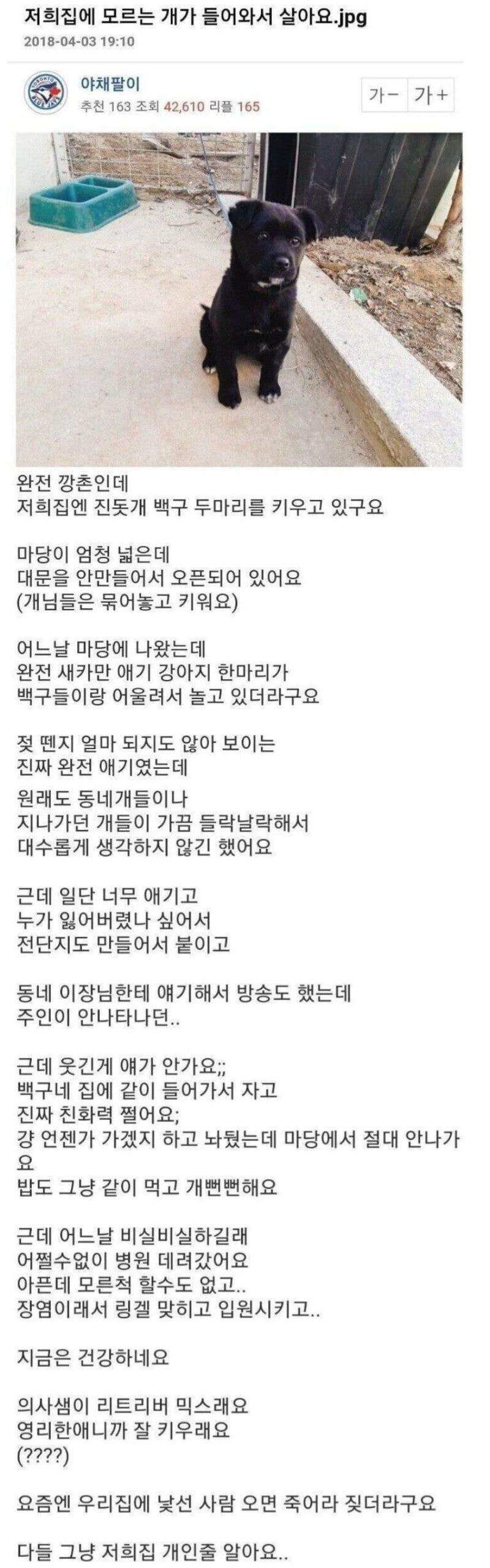 우리집에 모르는 개가 살고있다
