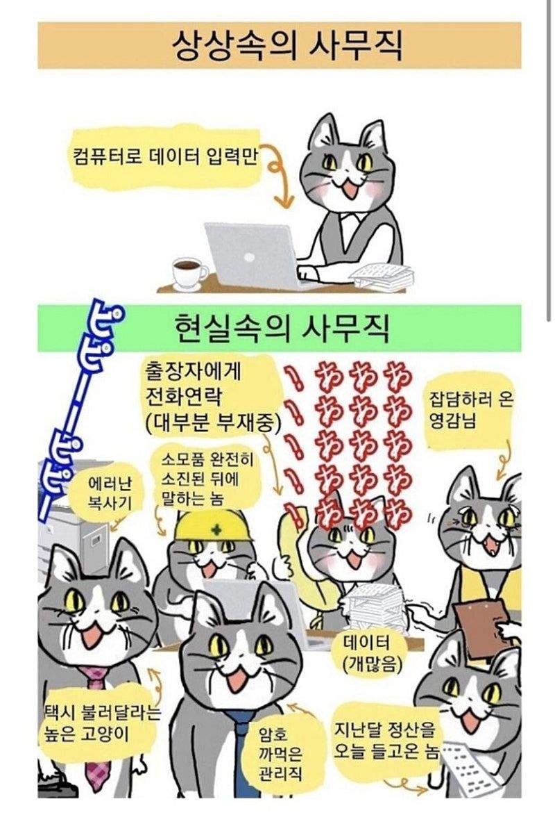 사무직 상상과 현실