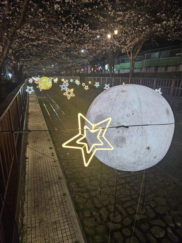 진해 개기일식 떳다..