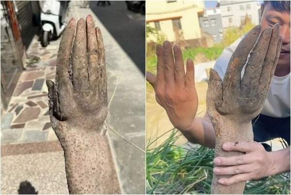 밭 갈다가 발견된 흙투성이 손 ㄷㄷㄷ