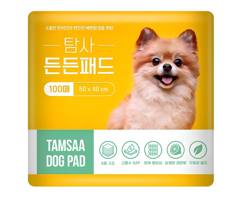 탐사 고흡수 든든패드 레몬향