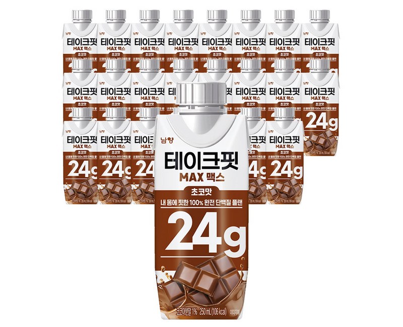테이크핏 맥스 초코맛 프로틴