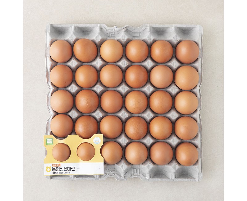 [로켓프레시] 농협 무항생제 인증 신선 대란 1.56kg