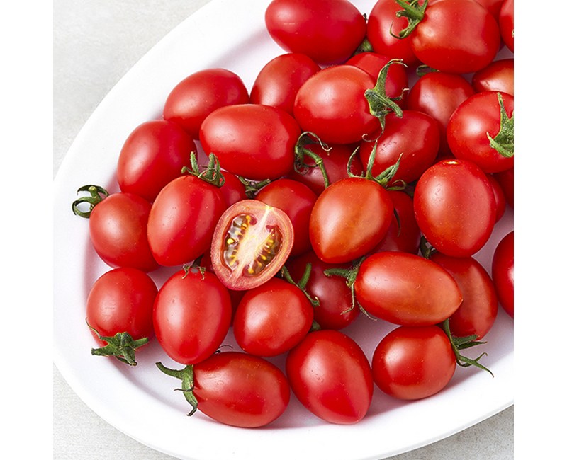 [로켓프레시] 대추방울토마토