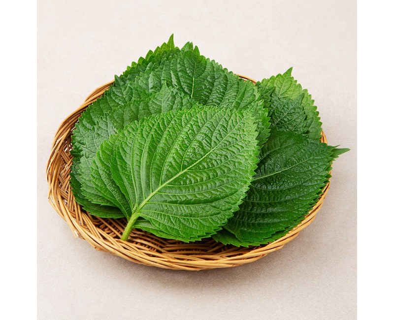 GAP인증 밀양 깻잎