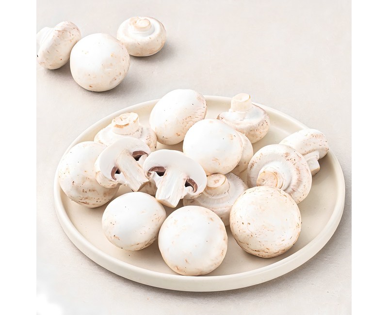 국내산 미니 양송이버섯