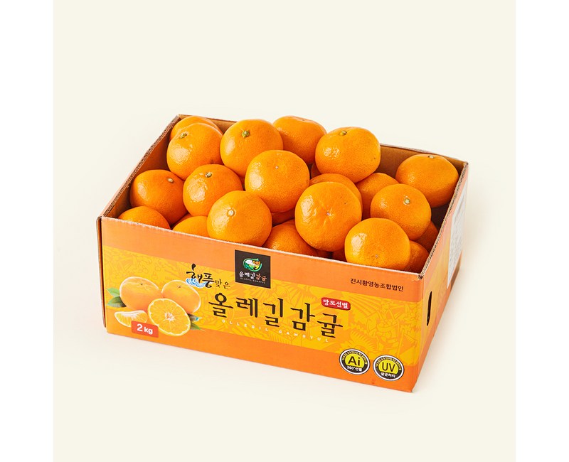 [로켓프레시] 올레길 AI 당도선별 11brix 감귤 로열과