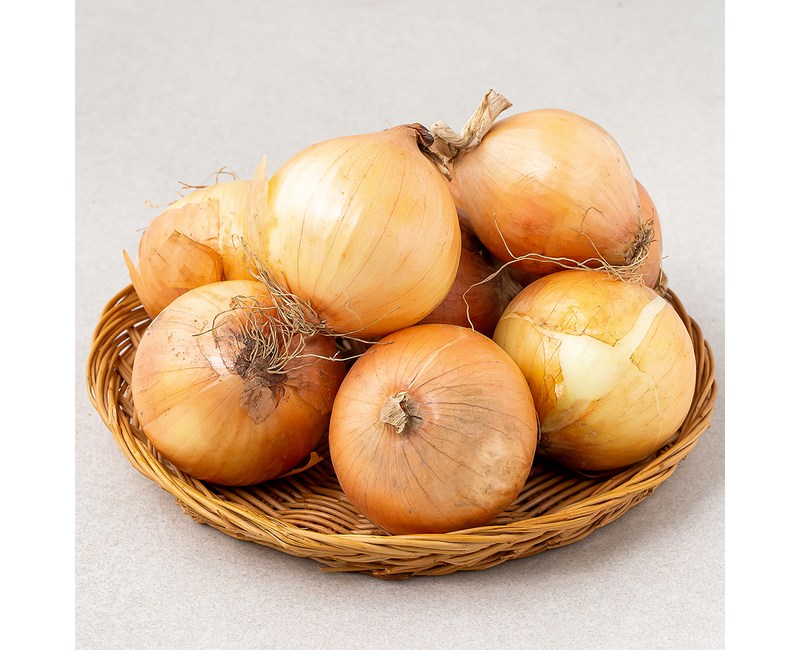 로켓프레시 국내산 양파(소)