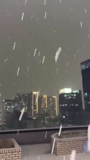 하츠투하츠 예온