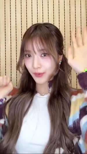 힛지스 비비