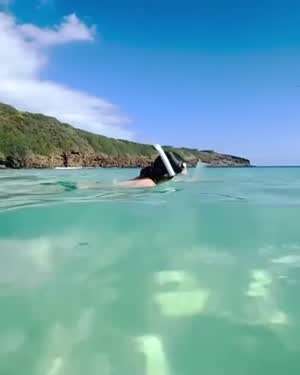 권은비 비키니 스노클링 물속에서 흔들리는 가슴.mp4