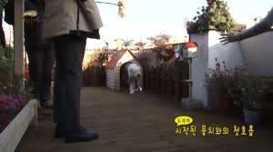 개가 무서운 박은빈