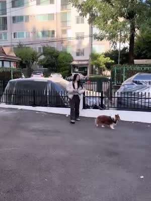 연느 김연아 인별