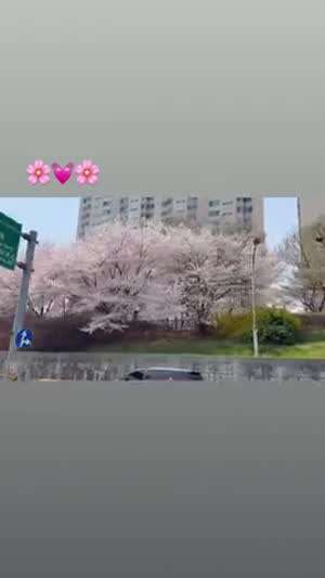 나나 WOOAH우아 인별 miss u