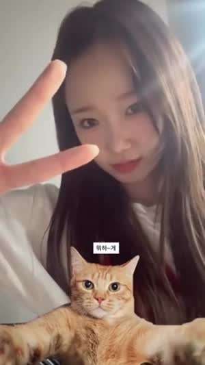 정채연 최유정 아이오아이 인별