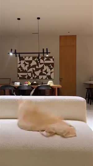 슬기 레드벨벳 릴스