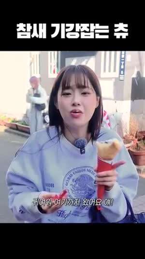 츄 지켜츄/ 참새 기강잡는 츄