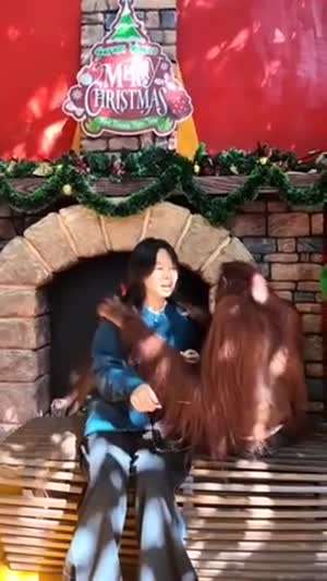 원숭이의 애정표현