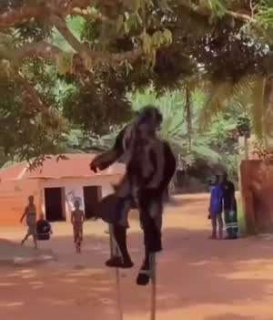 나무 다리 묘기