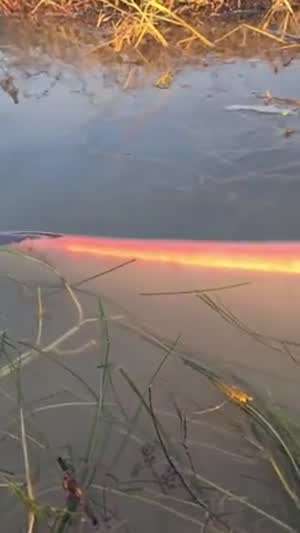 삼키는 걸 좋아하는 친구