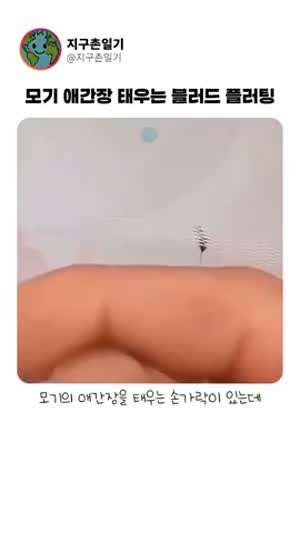 모기 애간장 태우기