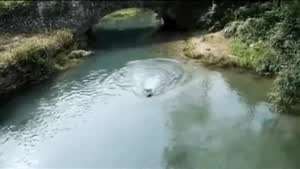 계곡와서 놀란 여친의 수영 실력
