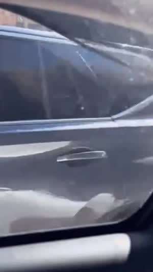 호주의 길거리 싸움