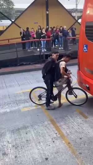 저리 꺼져 이놈들!!