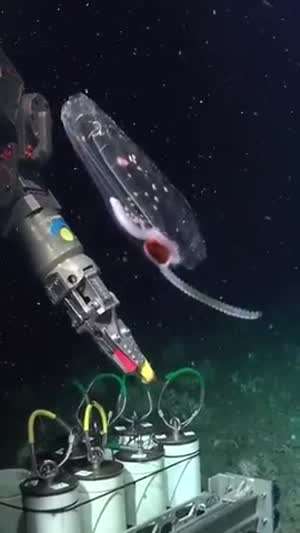 깊은 곳에서 쉬시던 대빵을 발견!