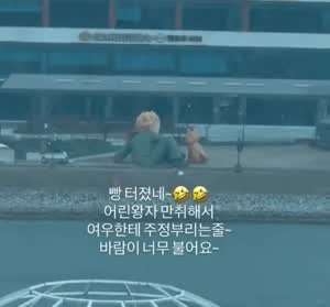 만취해서 여우한테 주정부리는 어린왕자