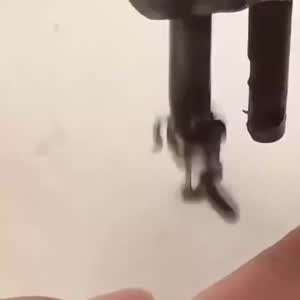 모기를 아작내는 다양한 방법