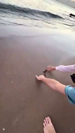 맞을 짓하는 남친들 ㅎㅎ